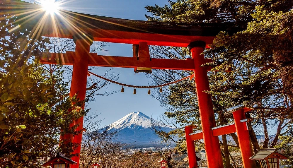 東京賞櫻六日遊｜東京櫻花名所、富士山河口湖、經典景點包車行程